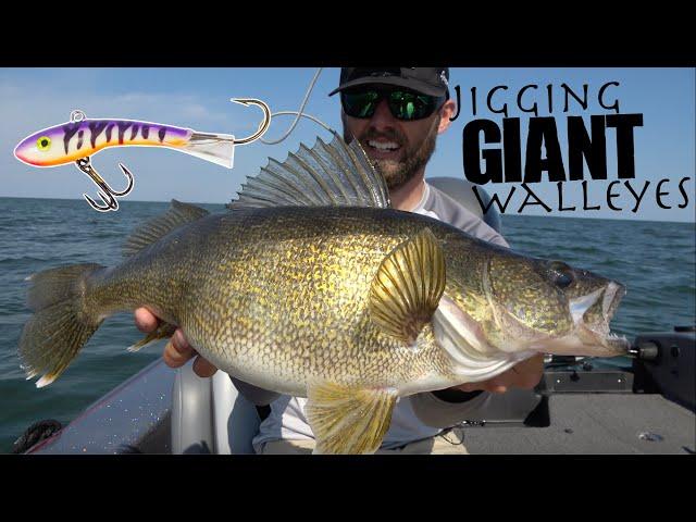 Jigging CRAZY Schools of GIANT Walleyes!