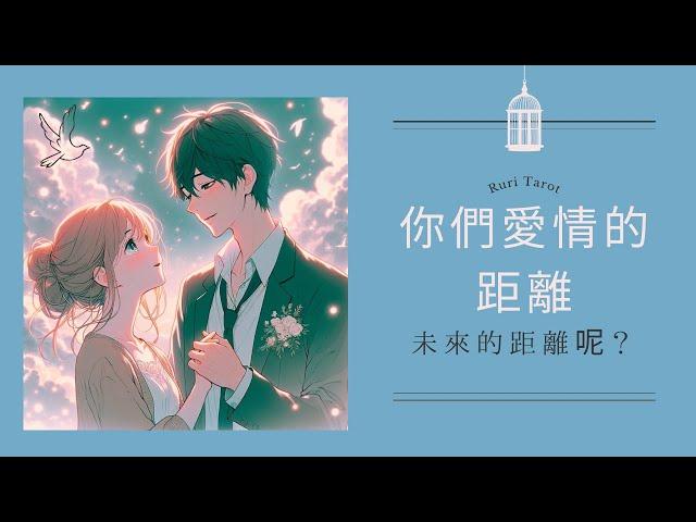 🪻RuriRu🪻【愛情】我們二人之間愛情的距離？他是怎麼想的？塔羅牌/雷諾曼/神諭卡--瑠璃ル