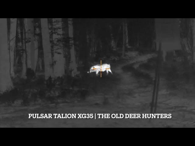 Hog Hunting | Pulsar Talion XG35