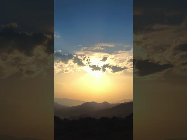 Engineered by Nature. A Lesson in Beauty