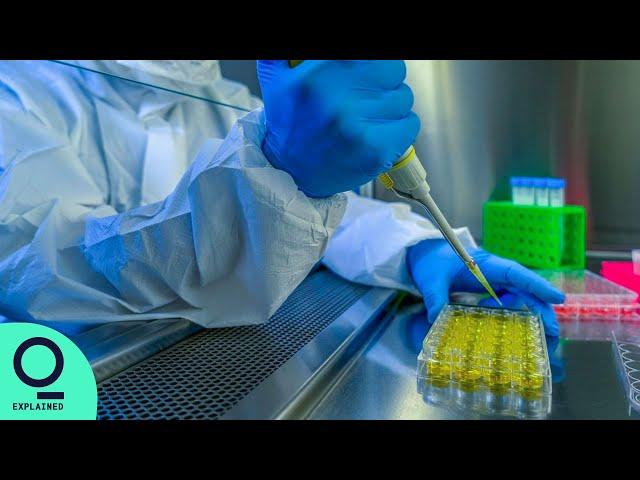 Leading India’s Covid-Fighting Lab