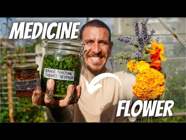 6 FLOWERS To Make Your Own MEDICINE