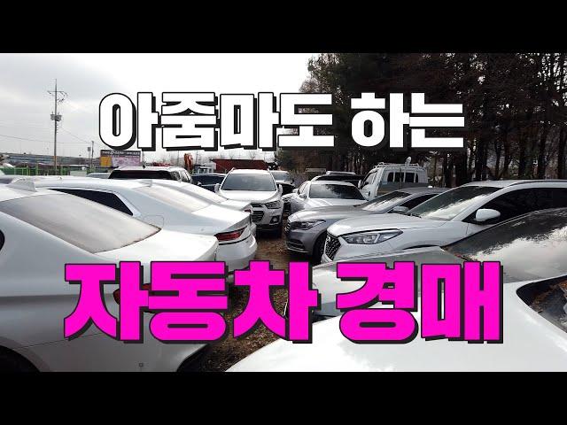 이젠 차도 경매로 산다? #차량 체크하는 법｜자동차 경매｜쿵쿵나리 스튜디오