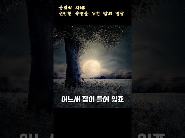 깊은 수면을 위한 명상  | ep1. 달빛아래내려놓기