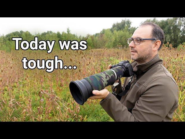 Wildlife Photography in the UK - Visiting a Nature Reserve on a Dull Day (And Camera Strap Problems)