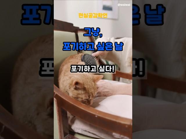 오늘도 고생했어요 확언 | 지친 나를 위로하는 힐링 메시지 #shorts #공감확언