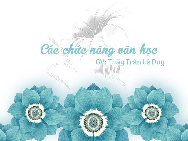 Bài dạy "Các chức năng văn học" - Thầy Trần Lê Duy