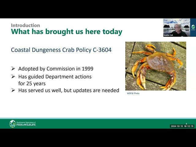 Coastal Dungeness Crab Policy Update Town Hall | Oct. 15, 2024