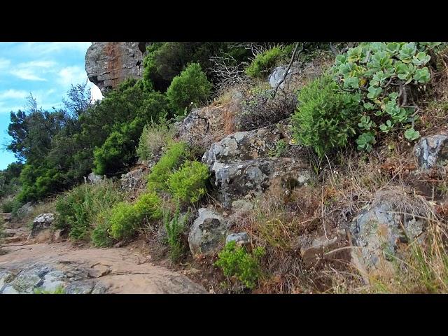 12 Apostles Pipe track - Table mountain Cape Town