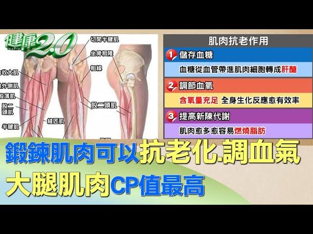 鍛鍊肌肉可以抗老化.調血氣 大腿肌肉CP值最高 健康2.0