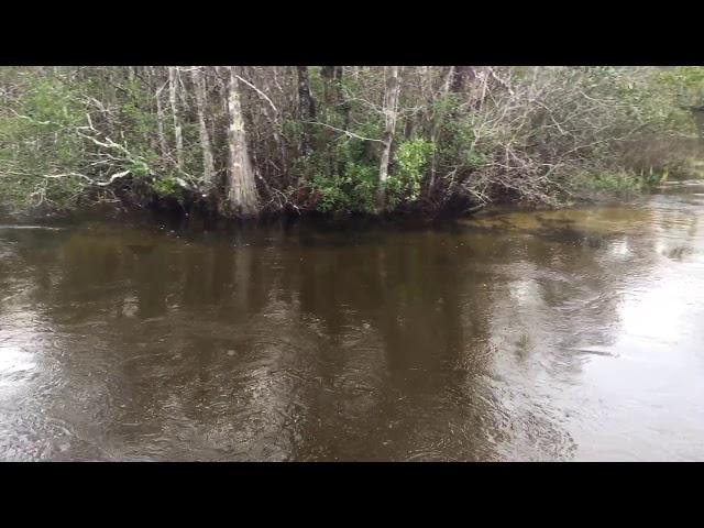 Turkey creek park, Niceville, Destin Florida 