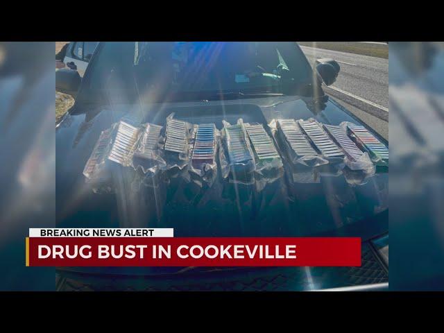 Cookeville drug bust