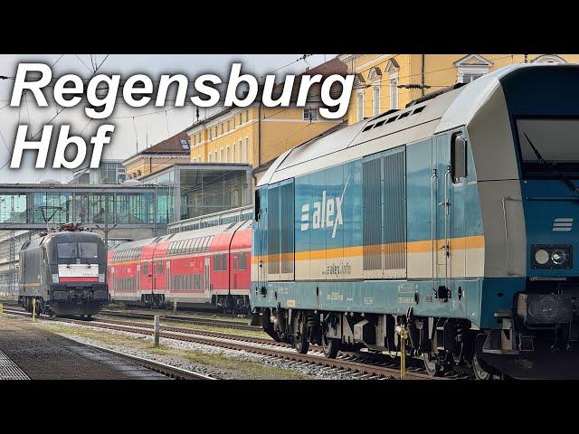 Züge in Regensburg Hbf | Herbst 2024 | agilis Mireo, alex, Br. 218 und mehr