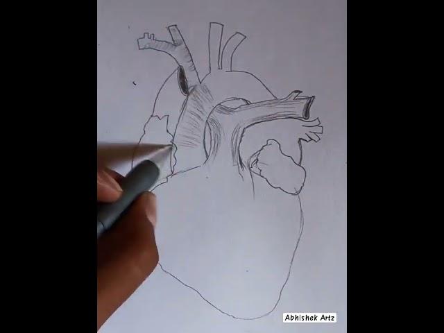 how to Draw human heart Diagram #shorts #abhishekartz