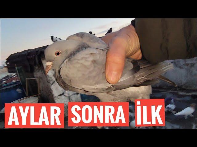 AYLAR SONRA İLK KAÇAK