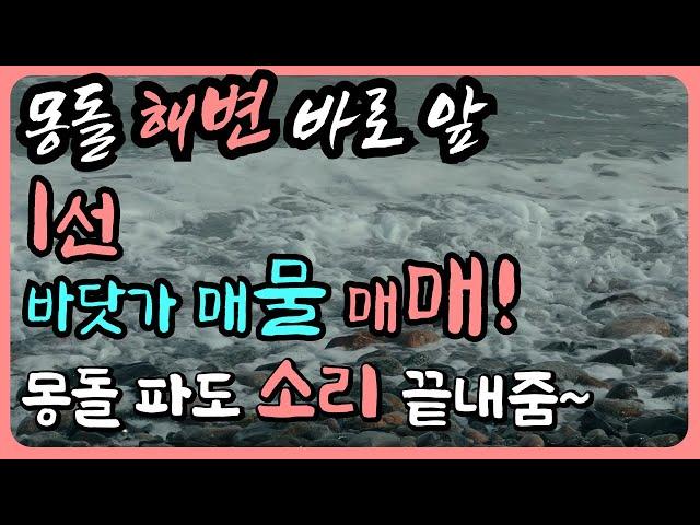 [추천 매물] 동해 몽돌 해변가 바닷가땅 매매 바닷가 집터 매매 바닷가 토지 급매 바닷가토지 매물 경북 바닷가 매매