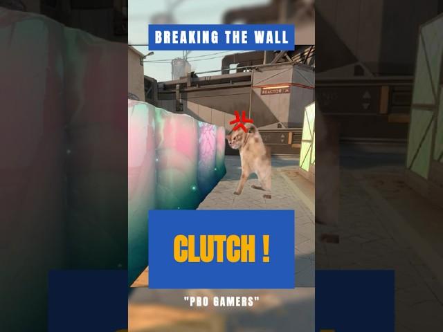 The Saddest Clutch in Valorant History
