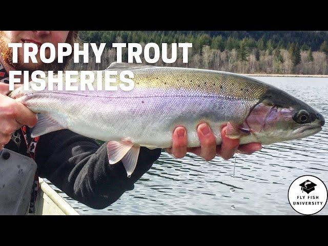 Finding Success on TROPHY Trout Fisheries