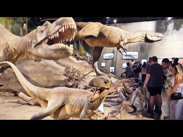 Drumheller Royal Tyrrell Museum Dinosaur Museum Virtual Tour