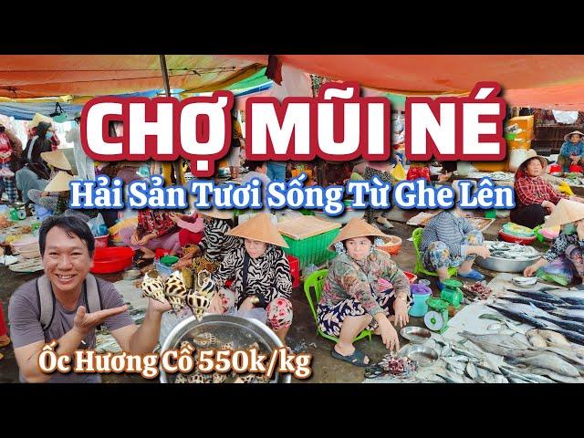 Chợ Mũi Né , Ốc Hương Cồ 550k/Kg