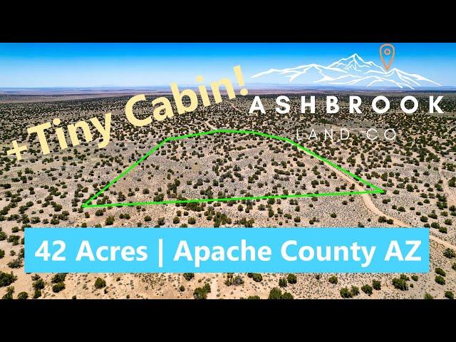 Northern Arizona Land for Sale | 42 Acre Ranch with Tiny Cabin and BLM Land Bordering 2 Sides