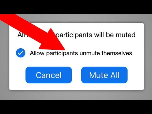 How to Mute and Unmute Other Participants and Yourself on Zoom Cloud Meetings