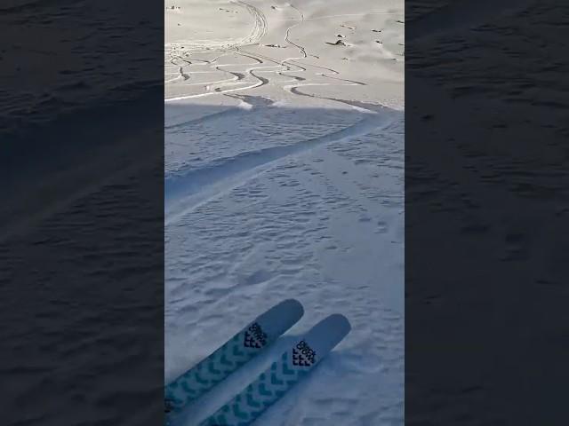 BEST POWDER RUN OF MY LIFE! (St. Moritz, Corviglia)