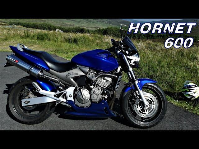 Honda Hornet 600 | Walkaround & Ride (Pure sound)