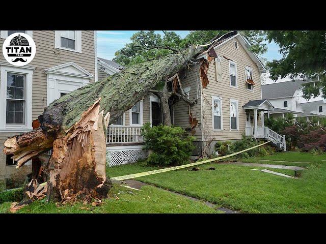 Dangerous Fastest Idiots Cutting Tree Fails Skill With Chainsaw | Tree Falling on Houses #15