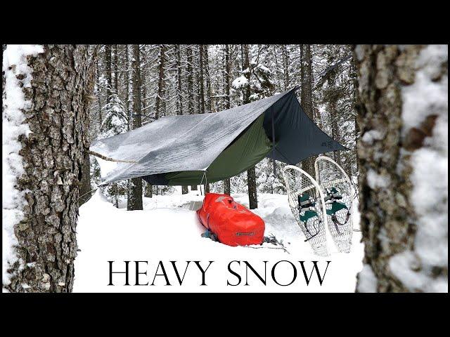 Solo Camping 3 Days | Snowstorm in an Old Spruce Forest