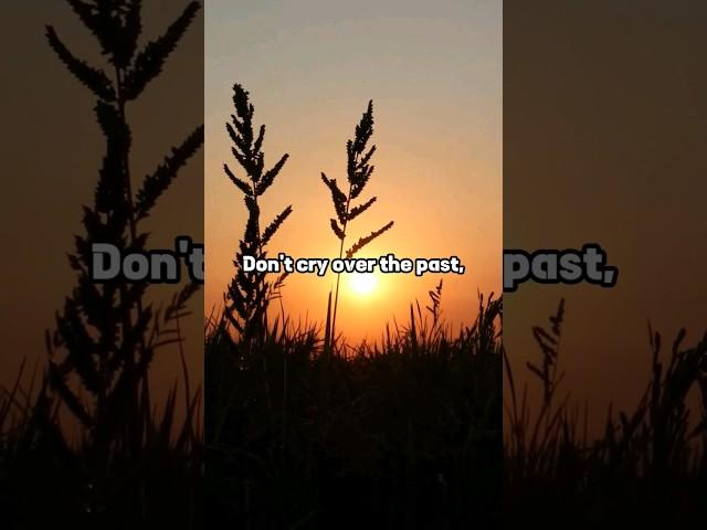 Don't Cry Over The Past #inspirationalquotes #motivation #youtubeshorts
