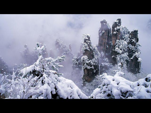 名山高聳入雲端,奇峰異石迷人眼。清溪鳴咽谷壑間,萬物生息百樂園 | 漫步湖南張家界 | Zhangjiajie Tianmen Mountain National Forest Park