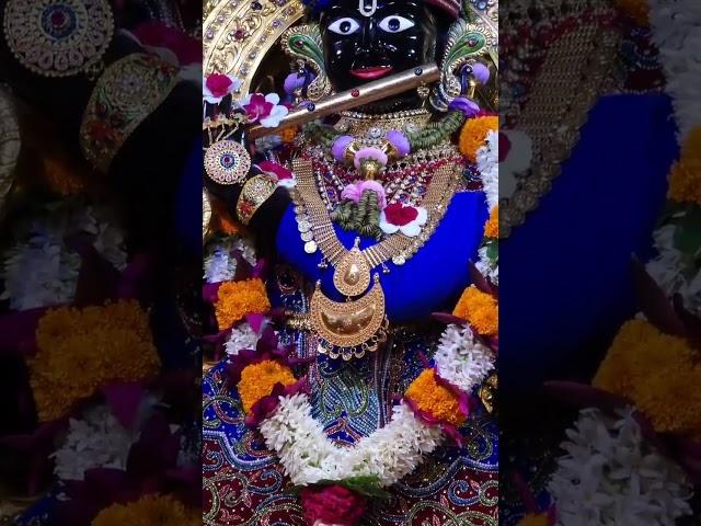 mere man mandir mein aan padhro  13/6/25 #gadhpur #gopinath #swaminarayan #shortvideo #shorts #video