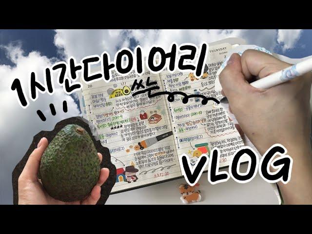 {Vlog} 1시간 다이어리 쓰고 아보카도로 쌩쇼하는 이상한 브이로그