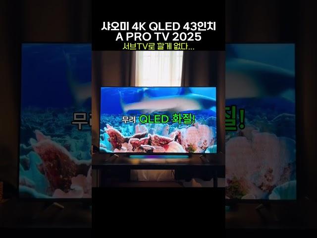 QLED인데 이 가격?! 샤오미 4K QLED 스마트 디스플레이 A Pro TV 가격이 말이 안된다니까~