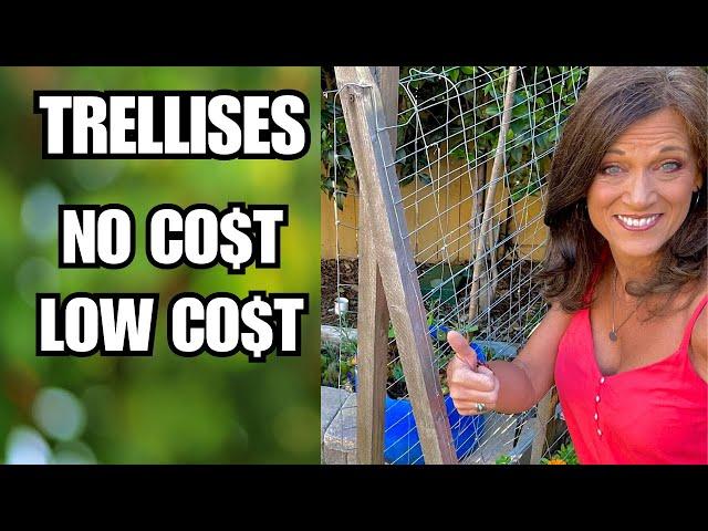 5 Easy Trellises: No Cost/Low Cost