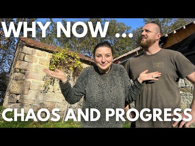 CHAOS on the HOMESTEAD! | PROGRESS on the BUILD!!!