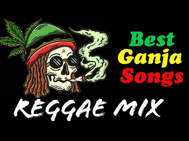 Reggae Mix 2024 (Chill Reggae Music Playlist) Chronixx Damian Marley Collie Buddz | Tina's Mixtape