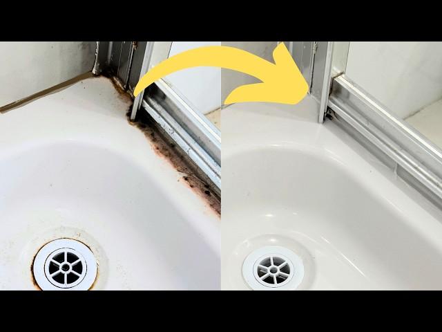 How to Clean a Mouldy Shower Like a Pro!