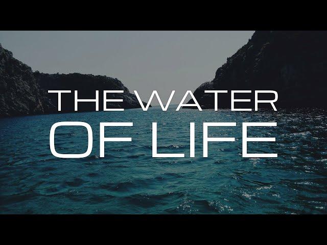 THE WATER OF LIFE