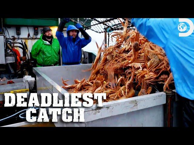 Captain Sophia's Quest for a Slice of the $14 Million Fishery | Deadliest Catch | Discovery