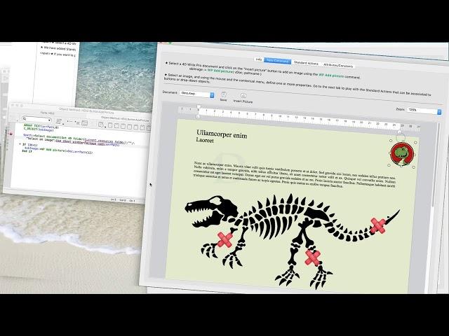4D Write Pro - Image in absolute position