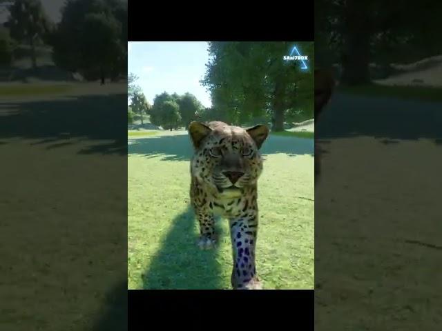 Planet Zoo: Running Amur leopard #shorts