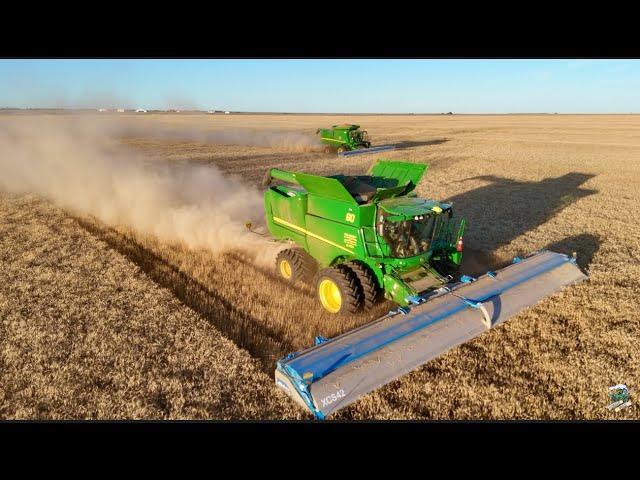 Wheat Harvest 2025 near Ballinger Texas