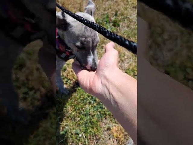 Her first recall 