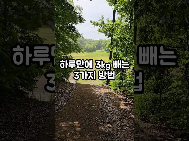 하루만에 3kg 빼는 3가지 방법 ..