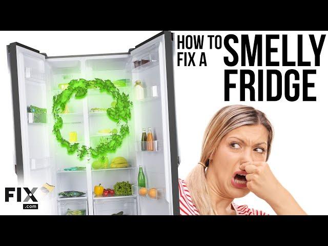 My Refrigerator Stinks! | How to FIX a Smelly Fridge | FIX.com