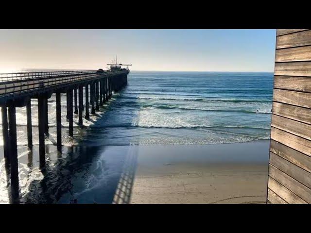 Live View - Pier At La Jolla Shores - Ellen Brown Scripps Memorial Pier