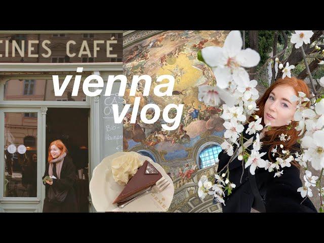 My First Solo Trip to Vienna ️ 3 Days in Austria VLOG