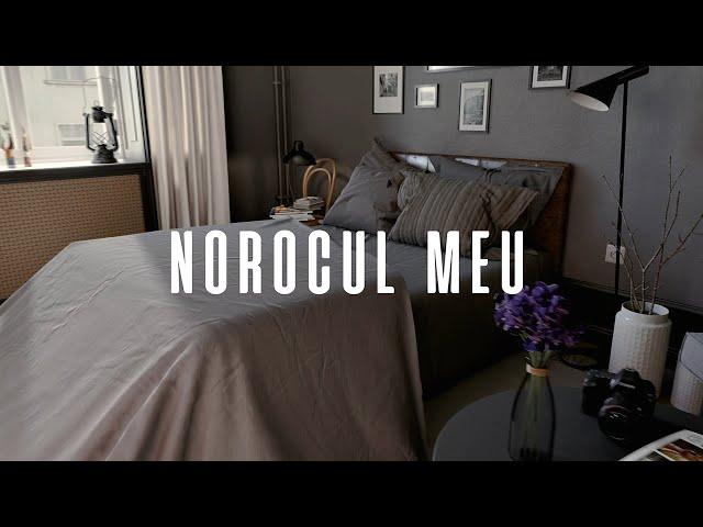 Arkanian  INGRID - Norocul Meu  Official Video